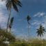  Terrain for sale in Nayarit, Tecuala, Nayarit