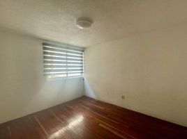 2 Schlafzimmer Wohnung zu verkaufen in Alvaro Obregon, Mexico City, Alvaro Obregon