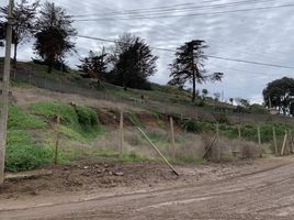  Land for sale in Chile, Puchuncavi, Valparaiso, Valparaiso, Chile