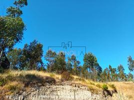  Land for sale in Chile, Litueche, Cardenal Caro, Libertador General Bernardo Ohiggins, Chile