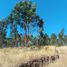  Land for sale in Chile, Litueche, Cardenal Caro, Libertador General Bernardo Ohiggins, Chile
