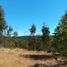  Land for sale in Chile, Litueche, Cardenal Caro, Libertador General Bernardo Ohiggins, Chile