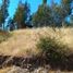  Land for sale in Chile, Litueche, Cardenal Caro, Libertador General Bernardo Ohiggins, Chile