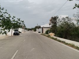  Grundstück zu verkaufen in Yaxkukul, Yucatan, Yaxkukul