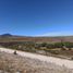  Land for rent in Mexquitic De Carmona, San Luis Potosi, Mexquitic De Carmona, San Luis Potosi