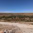  Land for rent in Mexquitic De Carmona, San Luis Potosi, Mexquitic De Carmona
