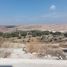  Land for rent in Mexquitic De Carmona, San Luis Potosi, Mexquitic De Carmona