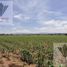  Land for sale in Asientos, Aguascalientes, Asientos