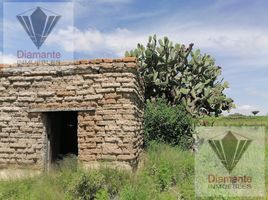  Land for sale in Asientos, Aguascalientes, Asientos