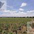  Land for sale in Asientos, Aguascalientes, Asientos