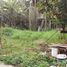  Terreno (Parcela) en venta en Pesanggrahan, Jakarta, Pesanggrahan, Jakarta Selatan, Jakarta