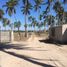  Land for sale in Tecuala, Nayarit, Tecuala