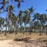  Land for sale in Tecuala, Nayarit, Tecuala