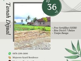  Terrain for sale in Banyuwangi, East Jawa, Gambiran, Banyuwangi