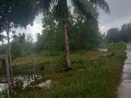  Haus zu verkaufen in Dauis, Central Visayas, Dauis, Bohol