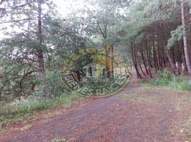  Terreno (Parcela) en venta en Tarqui, Cuenca, Tarqui