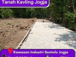  Land for sale in Yogyakarta, Pengasih, Kulon Progo, Yogyakarta