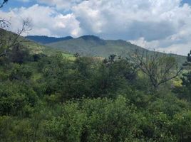  Grundstück zu verkaufen in Tapalpa, Jalisco, Tapalpa