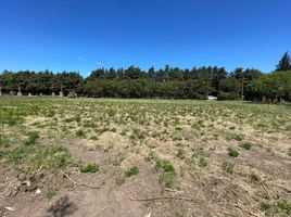  Land for sale in Santa Fe, Rosario, Santa Fe