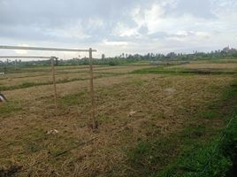  Terrain for sale in Ginyar, Gianyar, Ginyar