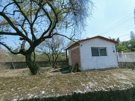  Terreno (Parcela) en venta en Temixco, Morelos, Temixco