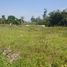  Land for sale in Malang Regency, East Jawa, Pakis, Malang Regency