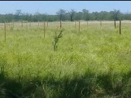  Land for sale in Calamuchita, Cordoba, Calamuchita