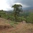  Land for sale in Jamundi, Valle Del Cauca, Jamundi