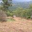  Land for sale in Jamundi, Valle Del Cauca, Jamundi