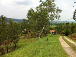  Land for sale in Jamundi, Valle Del Cauca, Jamundi