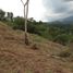  Land for sale in Jamundi, Valle Del Cauca, Jamundi