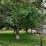 Studio House for sale in Tizimin, Yucatan, Tizimin