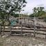 Studio House for sale in Tizimin, Yucatan, Tizimin