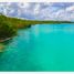  Grundstück zu verkaufen in Othon P Blanco, Quintana Roo, Othon P Blanco