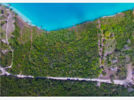  Grundstück zu verkaufen in Othon P Blanco, Quintana Roo, Othon P Blanco