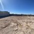  Terreno (Parcela) en alquiler en Torreon, Coahuila, Torreon, Coahuila
