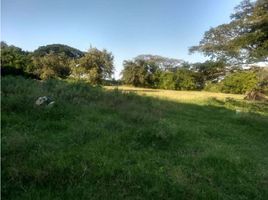  Terreno (Parcela) en venta en Palmira, Valle Del Cauca, Palmira