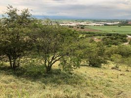  Land for sale in Palmira, Valle Del Cauca, Palmira