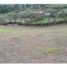  Land for sale in El Carmen De Viboral, Antioquia, El Carmen De Viboral