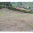  Land for sale in El Carmen De Viboral, Antioquia, El Carmen De Viboral