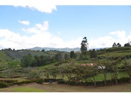  Land for sale in El Carmen De Viboral, Antioquia, El Carmen De Viboral