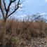  Terreno (Parcela) en venta en Tuxtla Gutierrez, Chiapas, Tuxtla Gutierrez, Chiapas