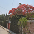 Villa 10 chambre à vendre à Cuautla, Morelos, Cuautla