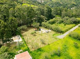  Land for sale in Vilcabamba Victoria, Loja, Vilcabamba Victoria, Loja, Loja