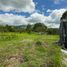  Land for sale in Vilcabamba Victoria, Loja, Vilcabamba Victoria, Loja, Loja