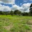 Land for sale in Vilcabamba Victoria, Loja, Vilcabamba Victoria, Loja, Loja