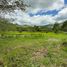  Land for sale in Vilcabamba Victoria, Loja, Vilcabamba Victoria, Loja, Loja