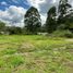  Land for sale in Vilcabamba Victoria, Loja, Vilcabamba Victoria, Loja, Loja