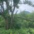  Land for sale in Juarez, Nuevo Leon, Juarez