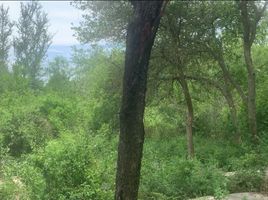  Land for sale in Juarez, Nuevo Leon, Juarez